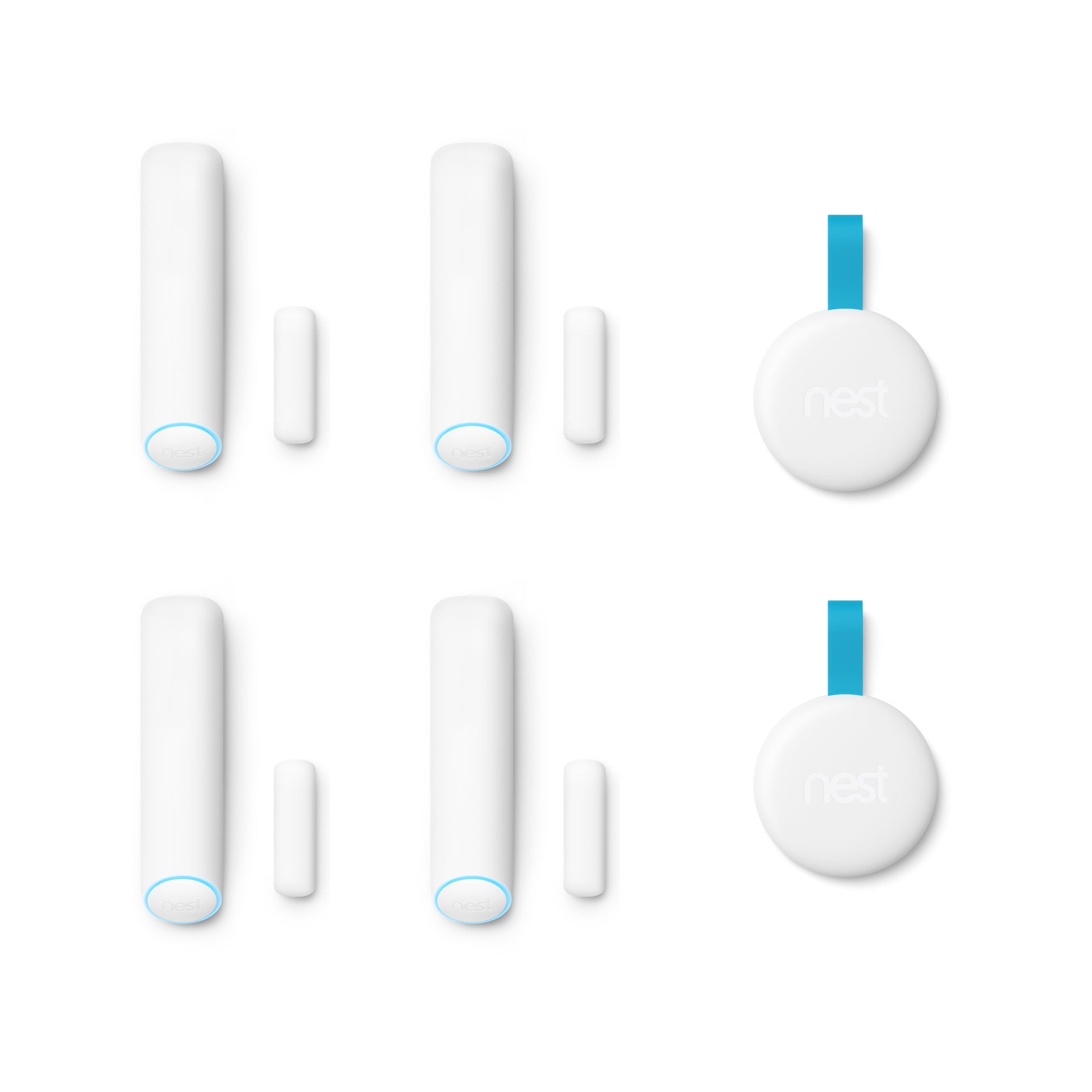 Nest Detect & Nest Tag Bundle
